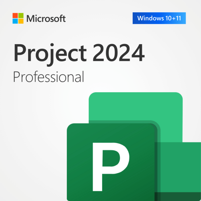 Microsoft Project 2024 Professional (Windows)