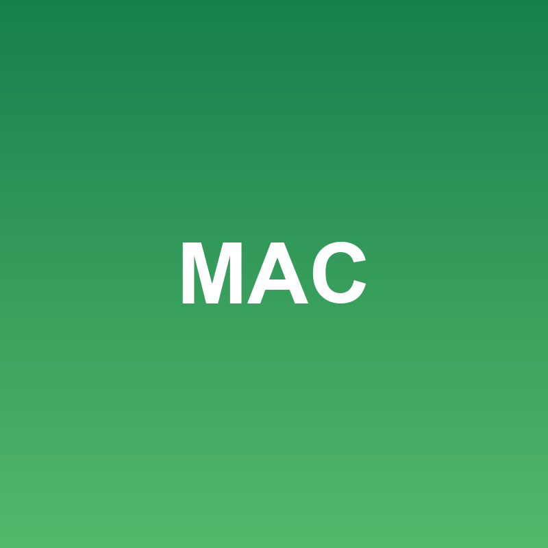 Office 2024 Home & Business for Mac