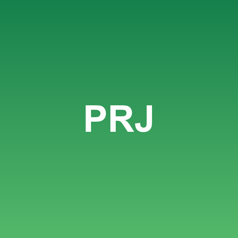 Project Professional 2024