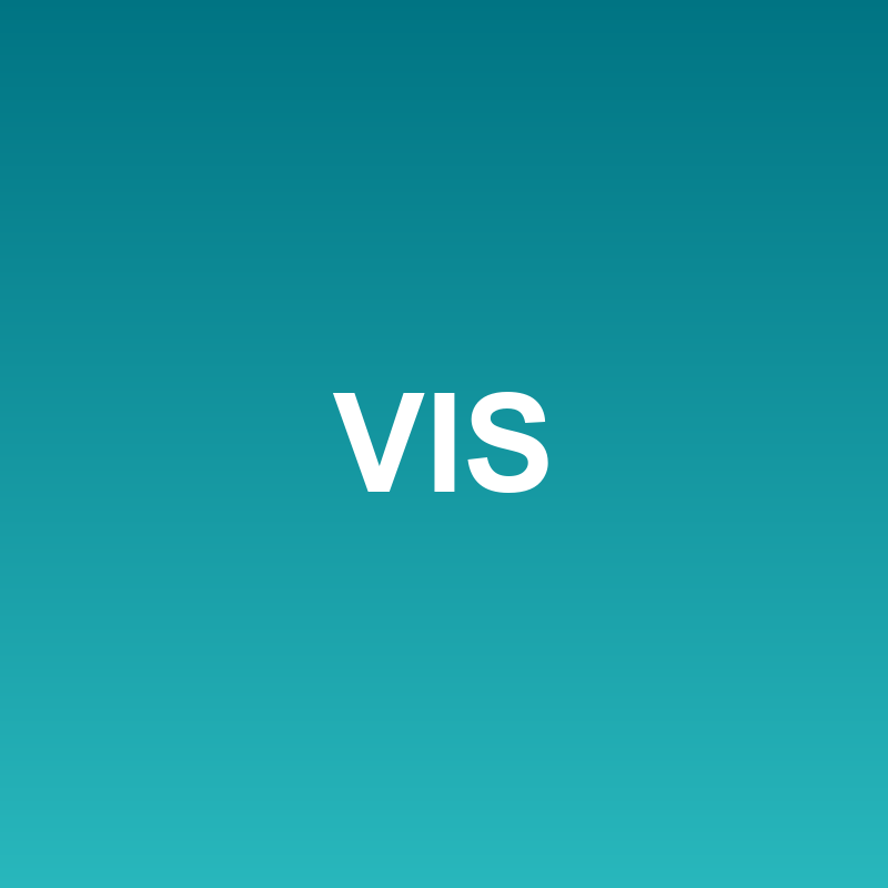 Visio Professional 2024