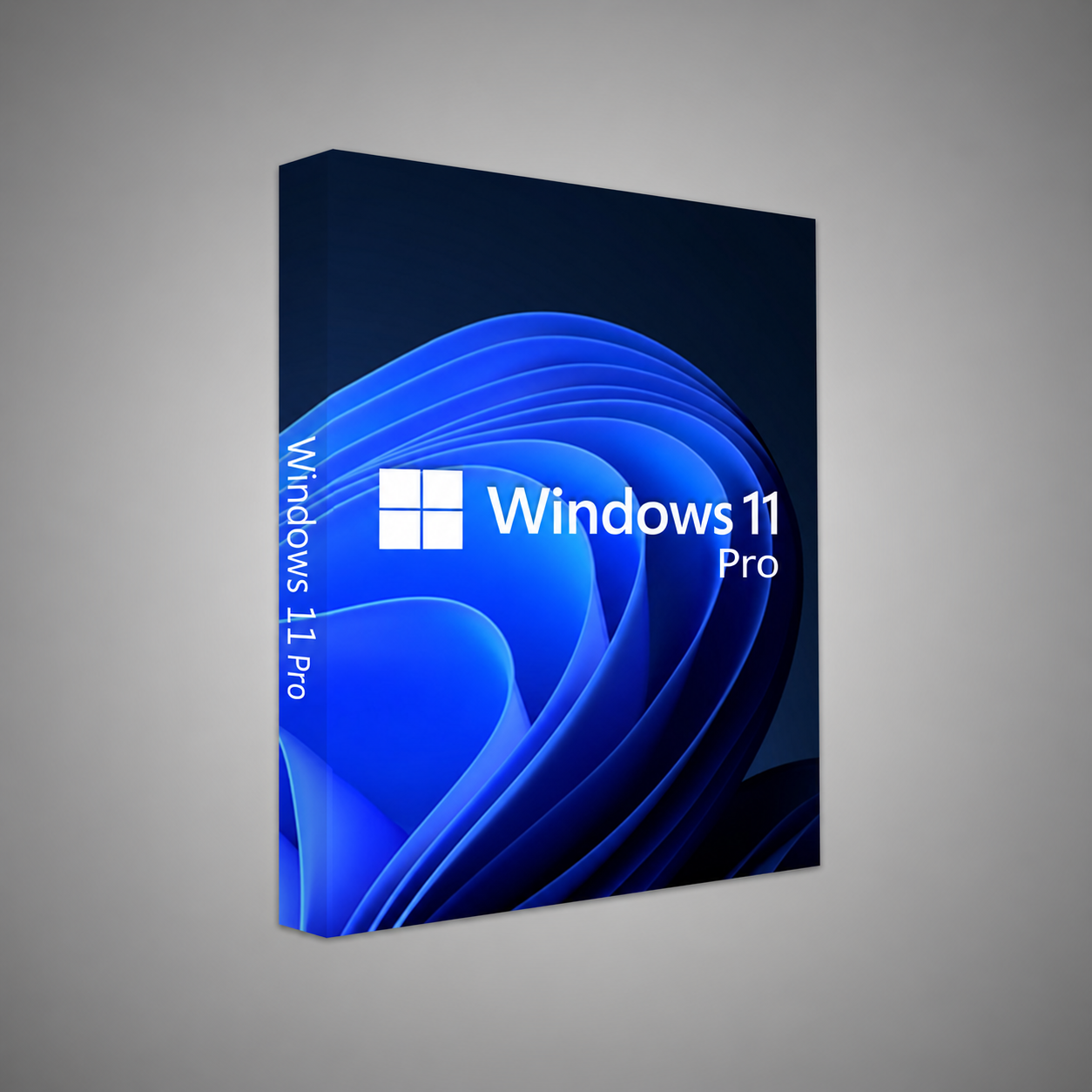 Windows 11 Pro